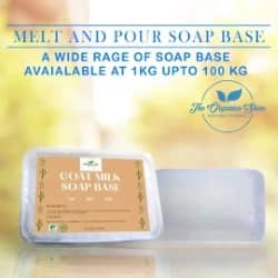 Soap Base