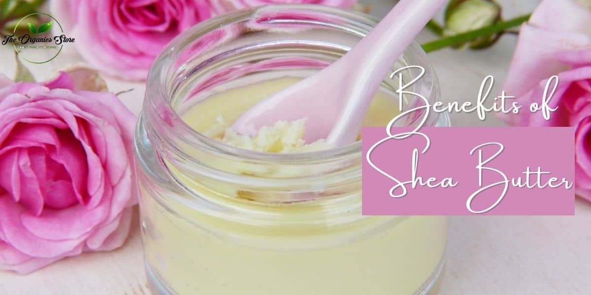 skin benefits of shea butter