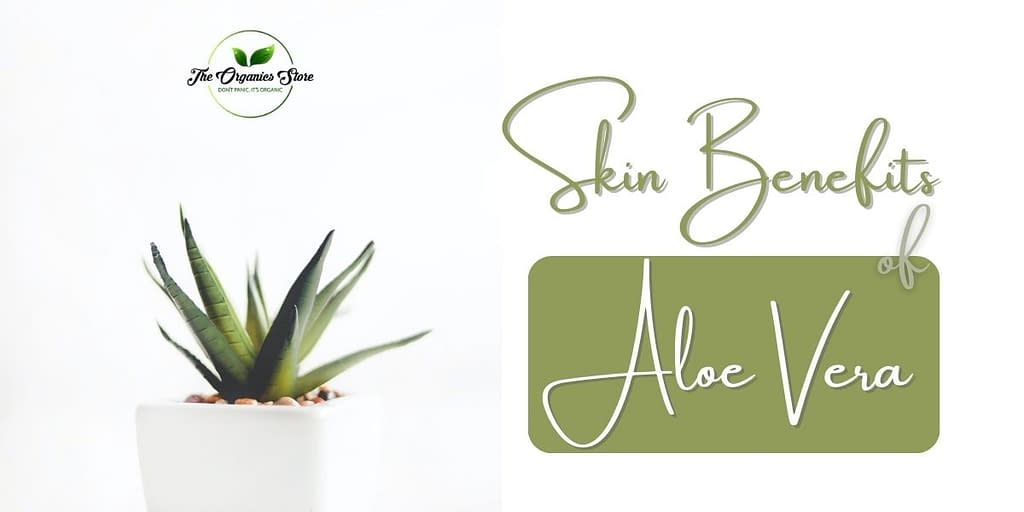 skin benefits of aloe vera
